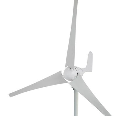 Customized ISO9001 Certified Wind Driven Generator for Environmentally Friendly Power