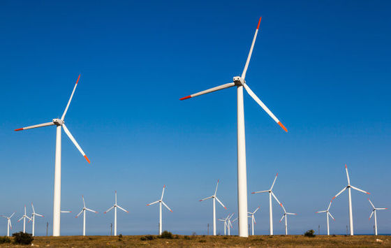 Customized ISO9001 Certified Wind Driven Generator for Environmentally Friendly Power