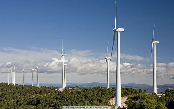 Customized ISO9001 Certified Wind Driven Generator for Environmentally Friendly Power