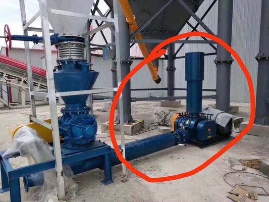 Cast Iron Rotary Valve Industrial Blower for Aquaculture High Pressure Aeration Needs