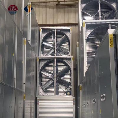 FRP Wall Mounted Ventilation Fan for Enhanced Ventilation in Industrial Settings