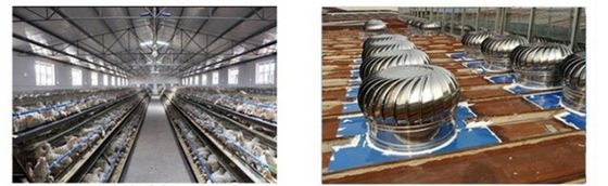 Wall Mount Industrial Stainless Steel 304 Wind Driven Circle Turbine Ventilating Fan
