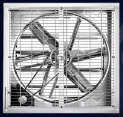 48 Inch Wall Mounted AC Extractor Fan with Siemens Motor Silver Greenhouse Ventilation