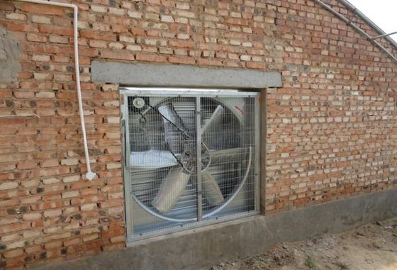 48 Inch Wall Mounted AC Extractor Fan with Siemens Motor Silver Greenhouse Ventilation