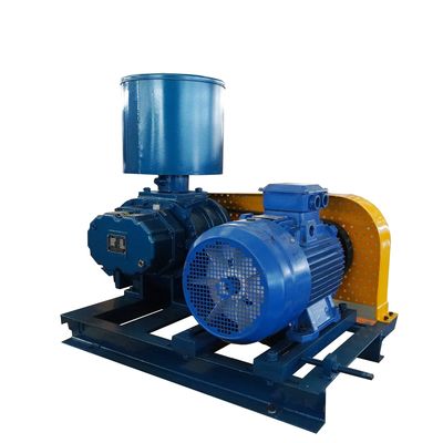 Efficiently Boost Your Production with Our Customized Roots Blower Vacuum Pump