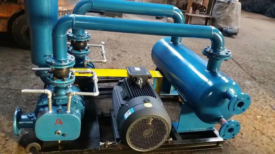 Efficiently Boost Your Production with Our Customized Roots Blower Vacuum Pump