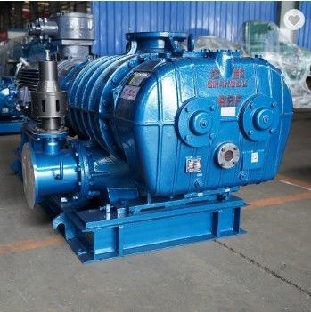 High Pressure Roots Blower NSK Bearing and Cast Iron Rotary Valve for Maximum Efficiency