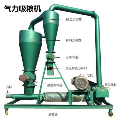 High Pressure Roots Blower NSK Bearing and Cast Iron Rotary Valve for Maximum Efficiency